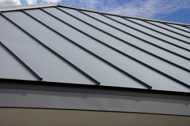 Best Sheet Metal Roofing  in Eyota, MN